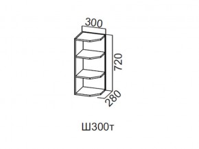 Ш300т/720 Шкаф навесной 300/720 (торцевой) в Чусовом - chusovoj.magazin-mebel74.ru | фото