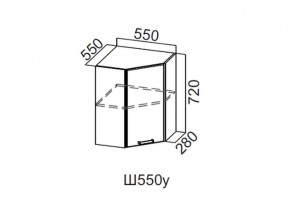 Ш550у/720 Шкаф навесной 550/720 (угловой) в Чусовом - chusovoj.magazin-mebel74.ru | фото