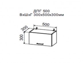 Шкаф верхний ДПГ500 горизонтальный в Чусовом - chusovoj.magazin-mebel74.ru | фото