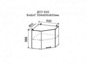 Шкаф верхний ДПУ600 угловой в Чусовом - chusovoj.magazin-mebel74.ru | фото